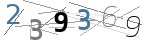 Prüfcode bitte unten eingeben
